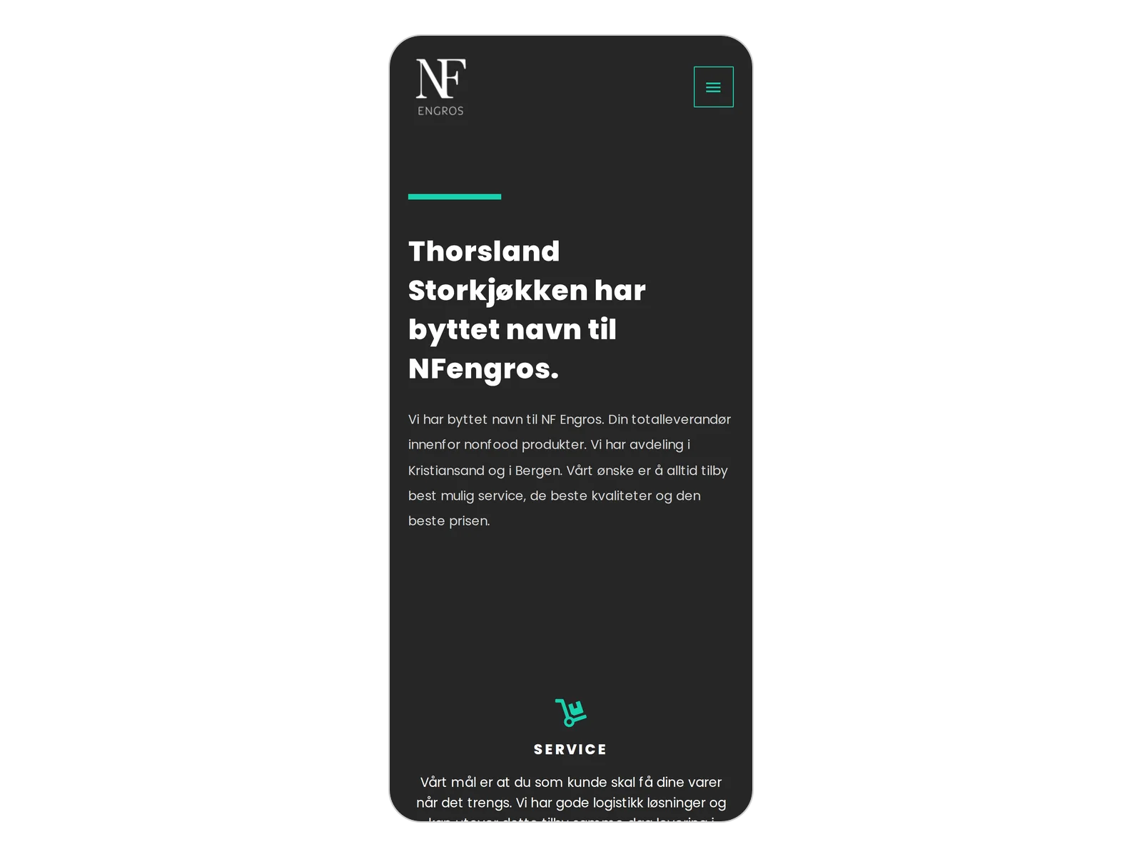 Skjermbilde av nfengros.no